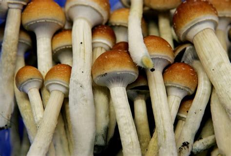 Can using magic mushrooms lead to a psychological craving?